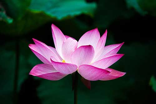 传统节日的祝福语