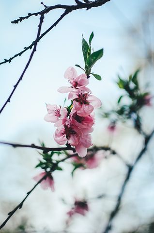 祝福女老师的祝福语