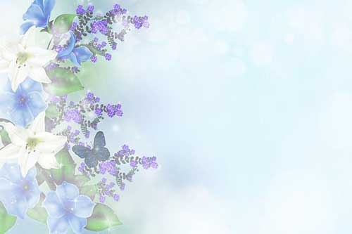 12岁生日祝福语大全
