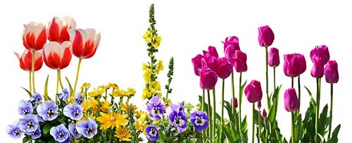 给远在国外儿子的生日祝福