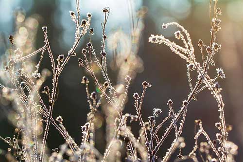 清明节日寄语