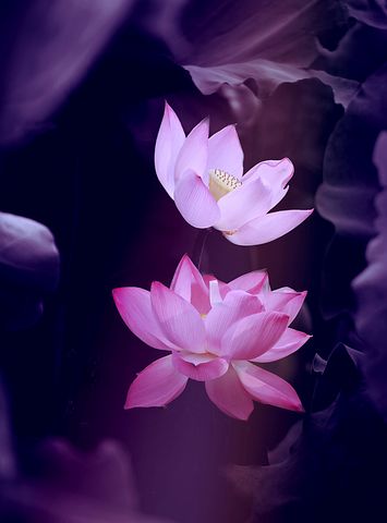 30岁女人生日祝福语