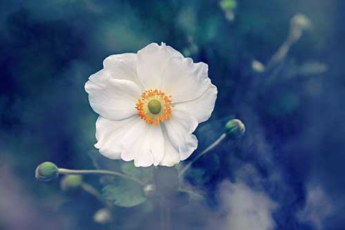 创意新婚祝福语