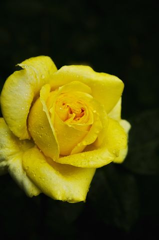 女儿大学生日祝福语