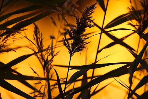 刚出生宝宝寄语简短