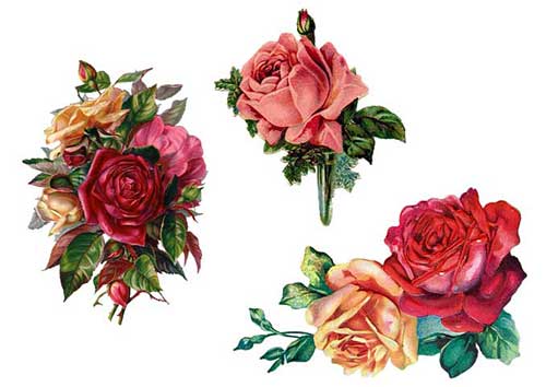 新婚快乐的贺词