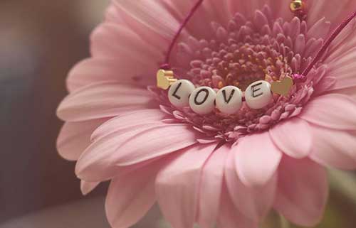 对学生祝福的诗句