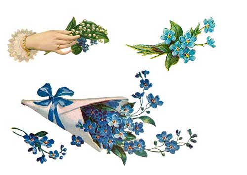 英语老师祝福语 简短独特