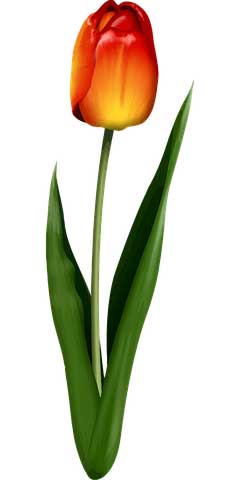 女人60岁生日祝福句子