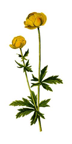统一感谢大家的点赞及祝福