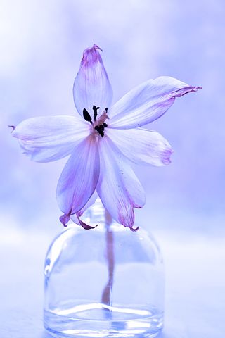 家长对教师的寄语