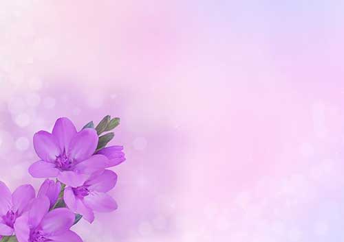 怎么给女朋友写生日祝福