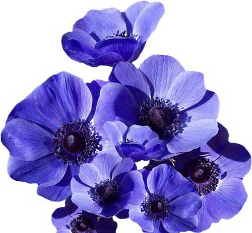 校区开业祝福语