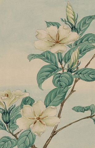 教师节祝福语简短独特