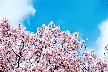 关于问候的英语对话