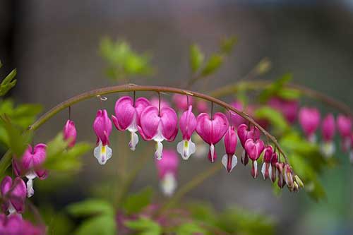 祝闺蜜生日祝福语文案