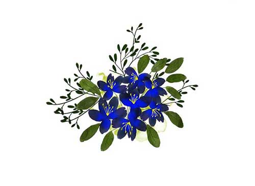 25岁女孩生日祝福语简短