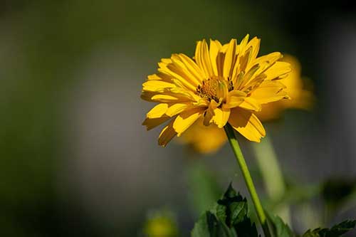 给退伍老兵的祝福语录
