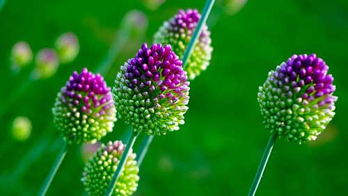 送给退休人的祝福语