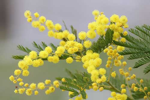男教师生日祝福语