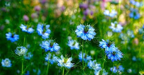 写给初中儿子的寄语与期盼