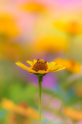 祝福宝宝生日快乐