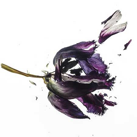 生日快乐祝福红包数字