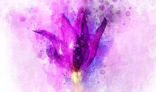 生日祝福语给男生