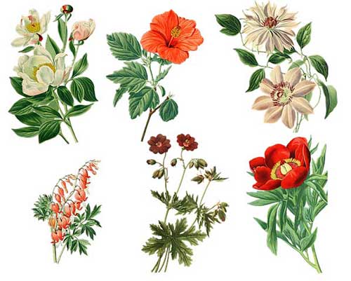 亲戚女儿结婚微信祝福