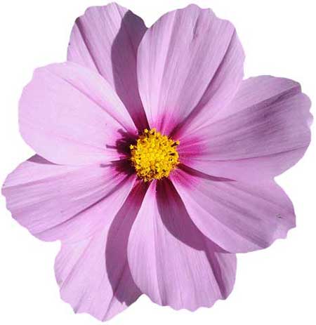 给女儿的祝福语大全