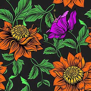 一篇关于中秋节的作文