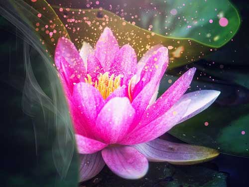 老人生日致辞
