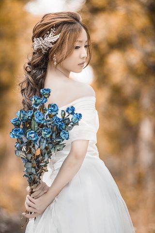 送上节日的问候和祝福