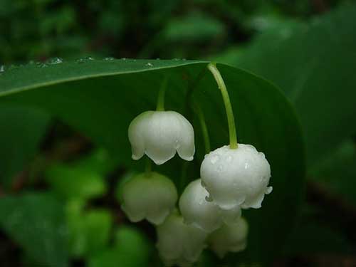 高考生祝福