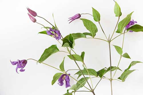 同学过生日祝福