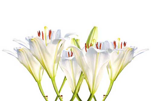 祝福孕妇老师的简短祝福语