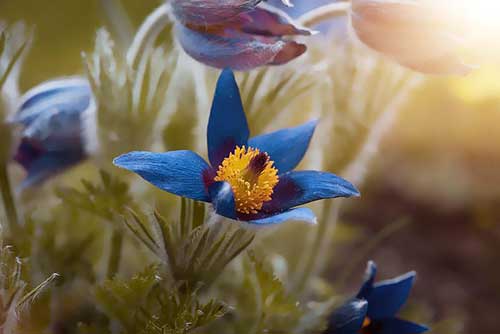 十字祝福语大全