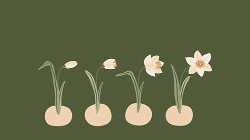 姐妹生日快乐的祝福句子暖心