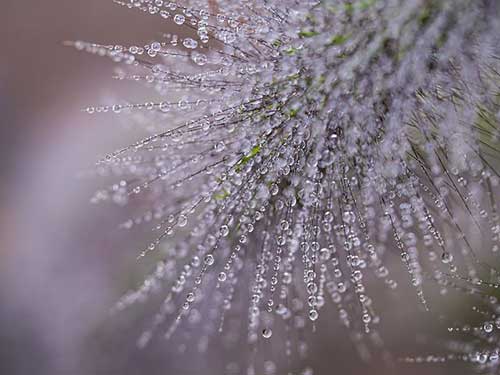 女神节创意祝福